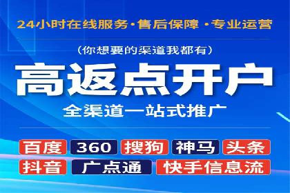 SEO与SEM案例分析：提升网站排名策略